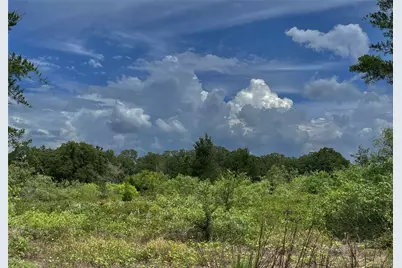Tbd Fm 141, Giddings, TX 78942 - Photo 9