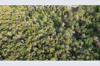 12015 Buckner Road, Austin, TX 78726 - Photo 11