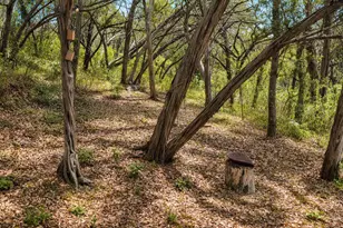 13967 Fm 2769, Leander, TX 78641 - Photo 13