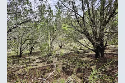 7821 Dakota Circle, Lago Vista, TX 78645 - Photo 11