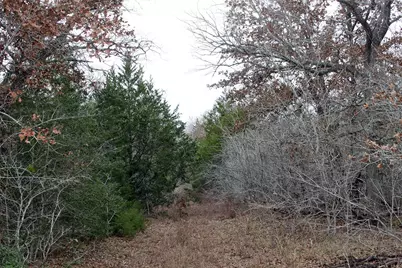 8729 E Fm 20 Highway, Dale, TX 78616 - Photo 9