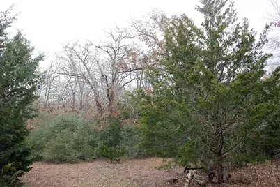 8729 E Fm 20 Highway, Dale, TX 78616 - Photo 3