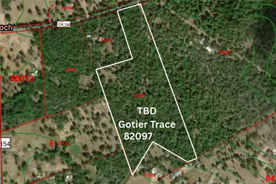 Tbd Gotier Trace Road, Paige, TX 78659 - Photo 1