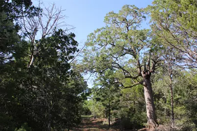 Tbd Gotier Trace Road, Paige, TX 78659 - Photo 17