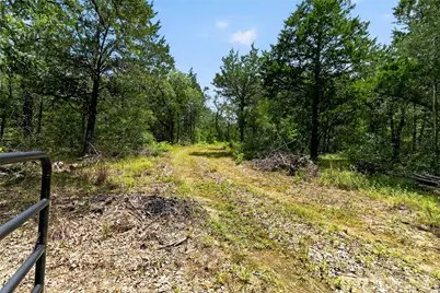 Tbd Gotier Trace Road, Paige, TX 78659 - Photo 5