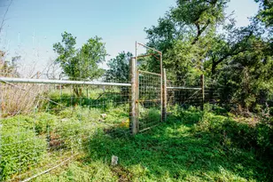 204 E Lakeshore Dr, Dripping Springs, TX 78620 - Photo 31