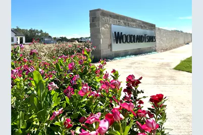 2341 Council Springs Pass, Leander, TX 78641 - Photo 19