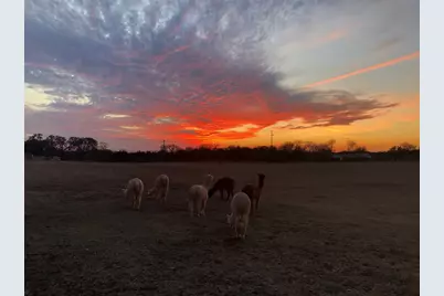 200 Spanish Oak Trail, Dripping Springs, TX 78620 - Photo 5