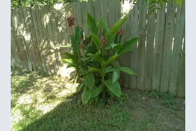 1110 Mountain View Drive, Pflugerville, TX 78660 - Photo 9