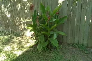 1110 Mountain View Dr, Pflugerville, TX 78660 - Photo 9