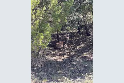 21619 High Drive, Lago Vista, TX 78645 - Photo 31