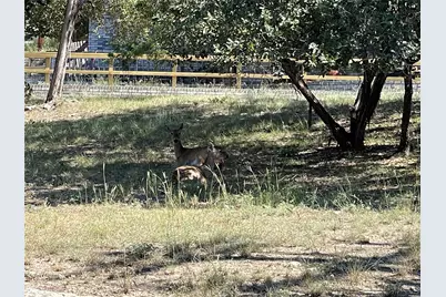 21619 High Drive, Lago Vista, TX 78645 - Photo 11