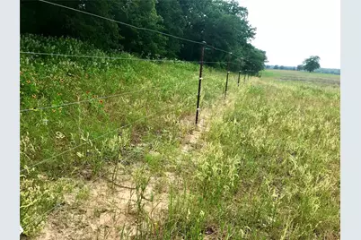 1672 Sayers Road #Tract 1, Bastrop, TX 78602 - Photo 3