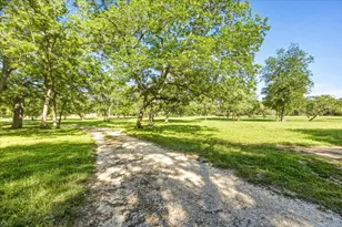 130 Water Park Rd, Wimberley, TX 78676 - Photo 3