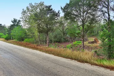 Tbd N Gaines Road, Cedar Creek, TX 78602 - Photo 3