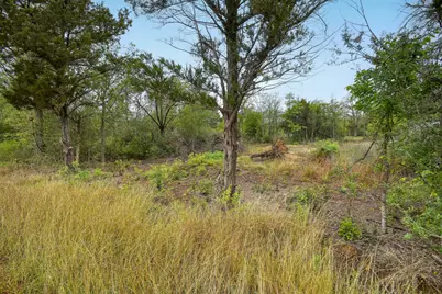 Tbd N Gaines Road, Cedar Creek, TX 78602 - Photo 15