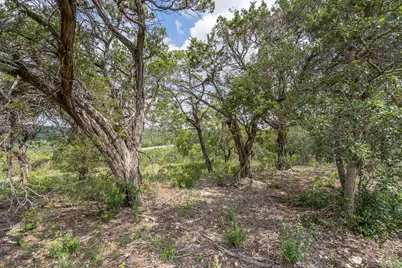19705 Tyler Trail, Jonestown, TX 78645 - Photo 9