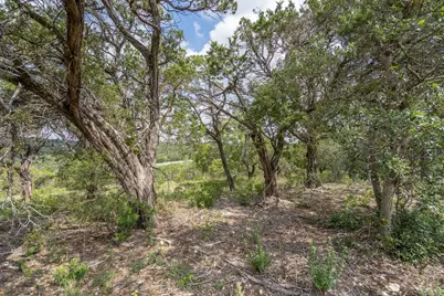 19705 Tyler Trail, Jonestown, TX 78645 - Photo 9