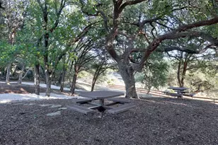 116 Oak Plaza Dr, Georgetown, TX 78628 - Photo 33