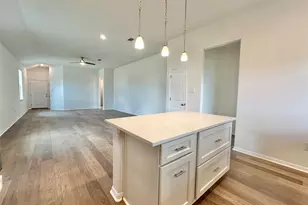 526 Elephant Island Loop, Kyle, TX 78640 - Photo 5