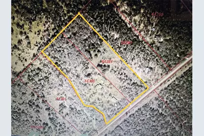 298 Jenkins Road, Cedar Creek, TX 78612 - Photo 39