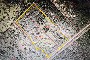 298 Jenkins Rd, Cedar Creek, TX 78612 - Photo 39