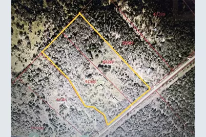 298 Jenkins Road, Cedar Creek, TX 78612 - Photo 39