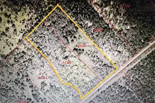 298 Jenkins Rd, Cedar Creek, TX 78612 - Photo 39