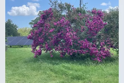 298 Jenkins Road, Cedar Creek, TX 78612 - Photo 35