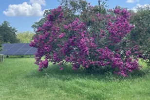 298 Jenkins Rd, Cedar Creek, TX 78612 - Photo 35