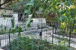 520 Cameron Cove, Cedar Park, TX 78613 - Photo 9