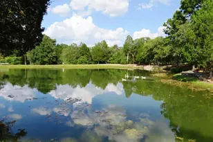 111 Post Oak Dr, Elgin, TX 78621 - Photo 39