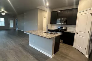 201 Longmount Cv, Liberty Hill, TX 78642 - Photo 5