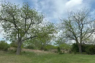 Unk Cr 330, Bertram, TX 78605 - Photo 3