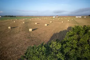 3622 N Fm 486, Thorndale, TX 76577 - Photo 5