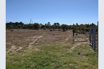 143 Spring Hollow Trail, Smithville, TX 78957 - Photo 17