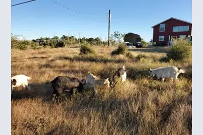 143 Spring Hollow Trail, Smithville, TX 78957 - Photo 23