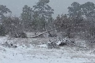 143 Spring Hollow Trail, Smithville, TX 78957 - Photo 21