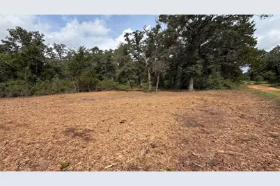 Tbd Pr 3428 (2.528 Acres in Lin Luce Ranches #2), Milano, TX 76556 - Photo 23