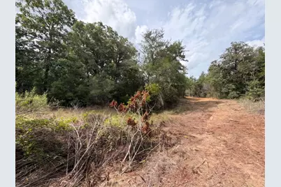 Tbd Pr 3428 (2.528 Acres in Lin Luce Ranches #2), Milano, TX 76556 - Photo 17