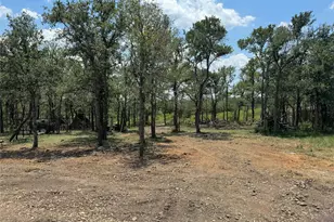 128 Passion Vine Rd, Dale, TX 78616 - Photo 29