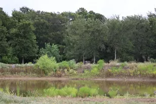 353 Littig Rd, Elgin, TX 78621 - Photo 25