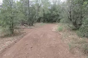 353 Littig Rd, Elgin, TX 78621 - Photo 37