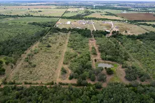 353 Littig Rd, Elgin, TX 78621 - Photo 3