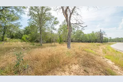 960 Ferguson Loop, Dale, TX 78616 - Photo 3