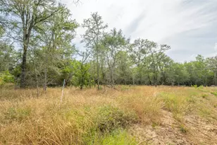 960 Ferguson Loop, Dale, TX 78616 - Photo 1