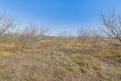 5225 Fm 2001, Buda, TX 78610 - Photo 35