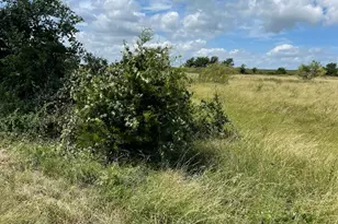 316 Hwy US 183 N, Briggs, TX 78608 - Photo 3