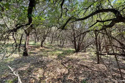 21105 Ridgeview Road, Lago Vista, TX 78645 - Photo 27