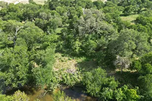 208 Serenity Dr, Liberty Hill, TX 78642 - Photo 1